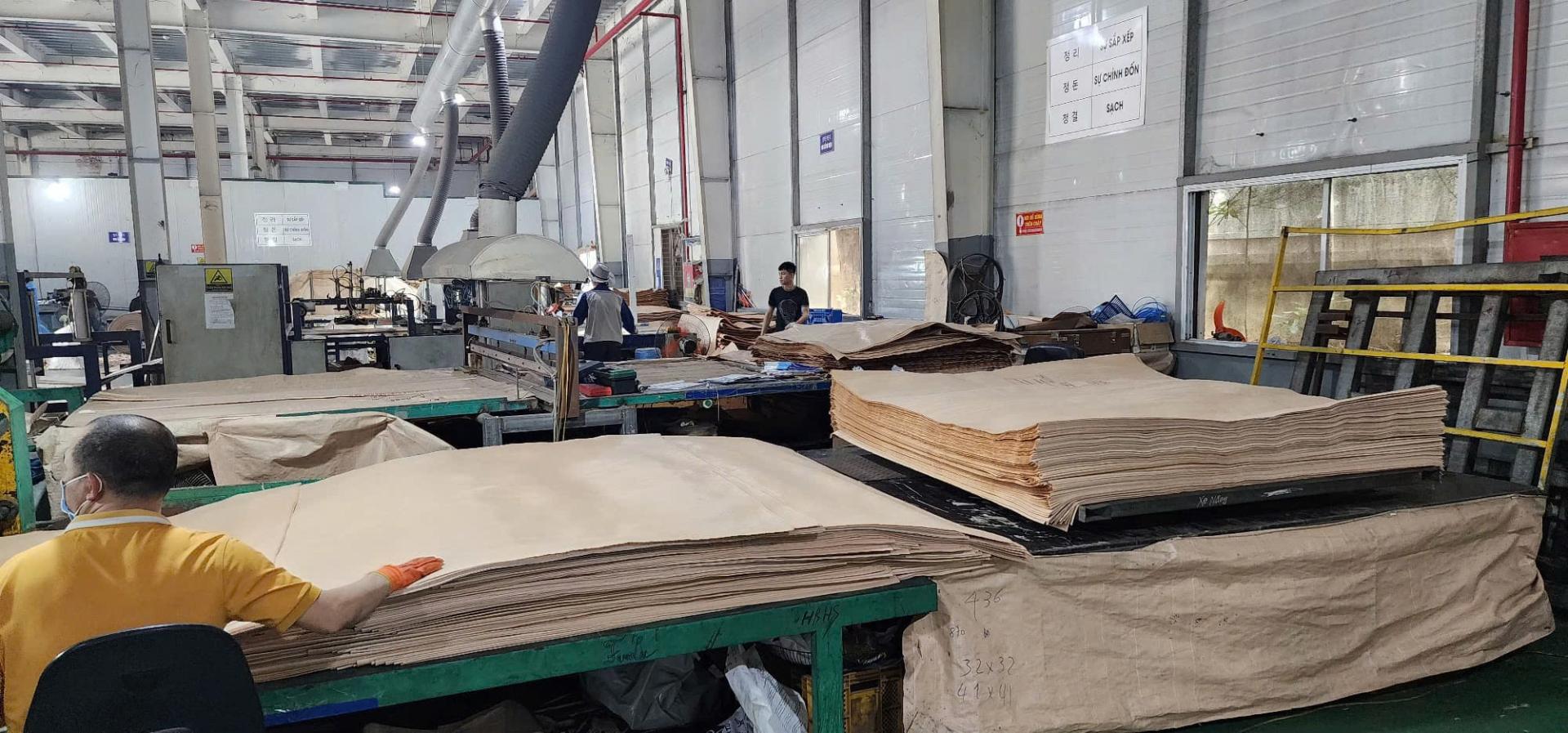 Khu vực gia công giấy và carton trong xưởng